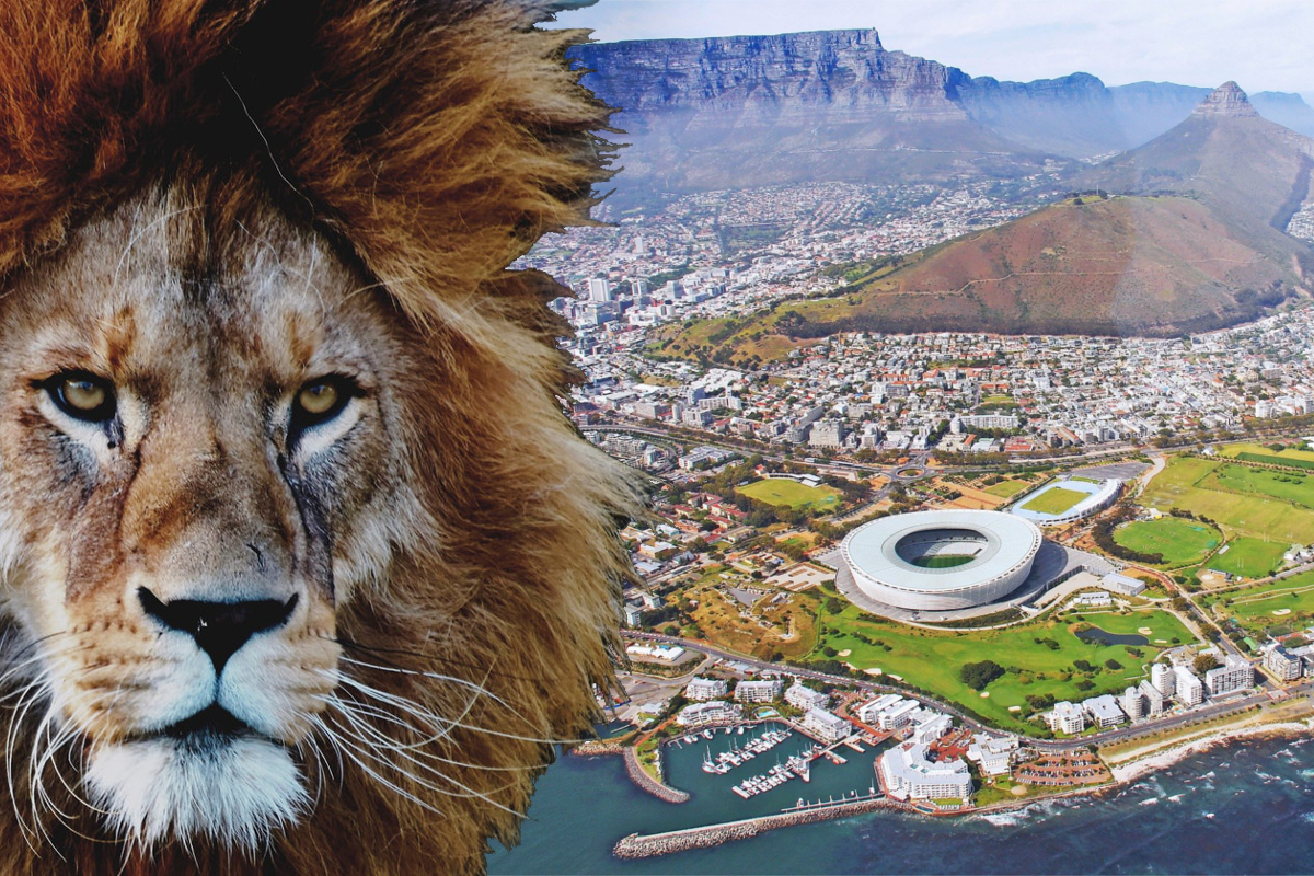 LionsFeatured2021 LionsFeatured2021