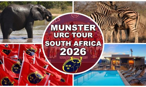 munster rugby south africa