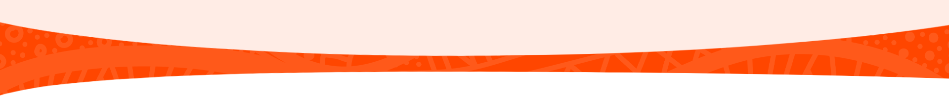 rwc2027-divider-1920